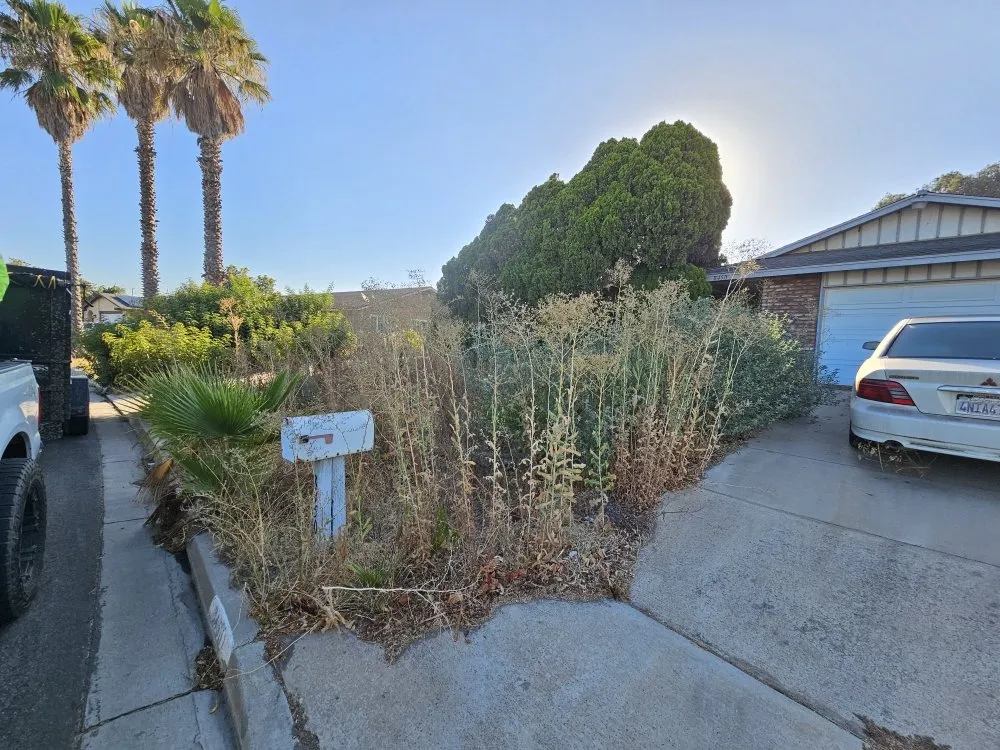 Custom outdoor landscaping near you across Mira Loma, CA - R&S Demo & Junk Removal