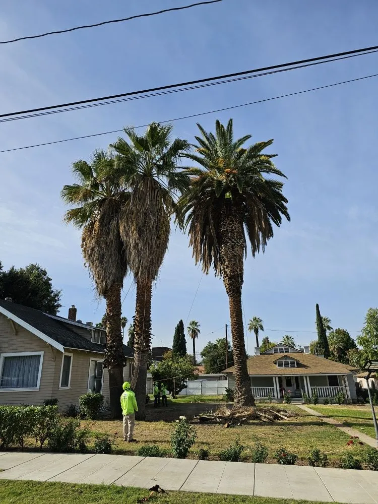 Professional landscape installation in Mira Loma, CA - R&S Demo & Junk Removal