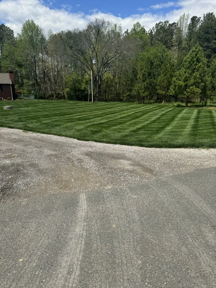 Professional yard cleanup service experts serving Richmond, VA - RS Grounds