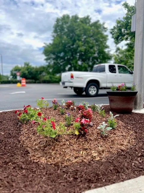 Local residential landscaping for residential properties in Castalian Springs, TN by R&S Groundskeeping and Nursery