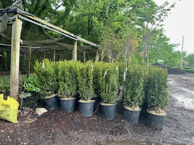 Trusted landscaping services with custom design in Castalian Springs, TN by R&S Groundskeeping and Nursery