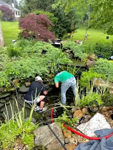 Expert residential landscaping for residential properties across Castalian Springs, TN - R&S Groundskeeping and Nursery