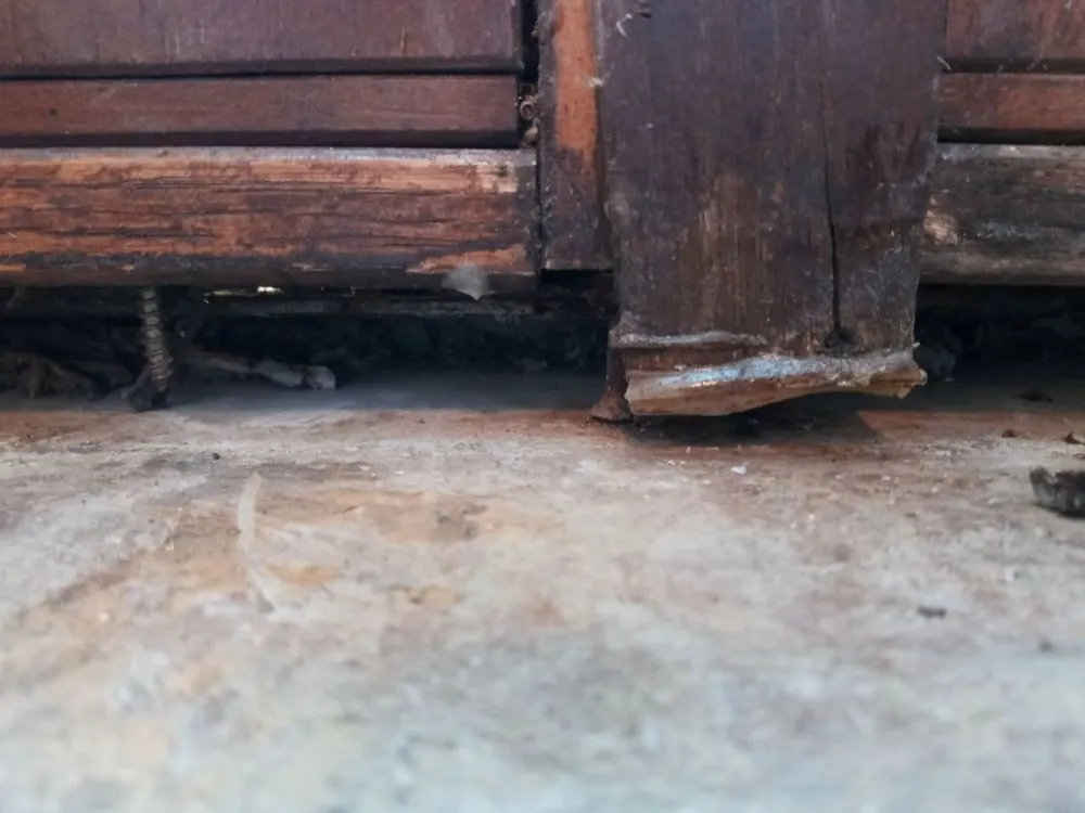 Expert lawn mowing service in Azle, TX - R&S Integrated Solutions