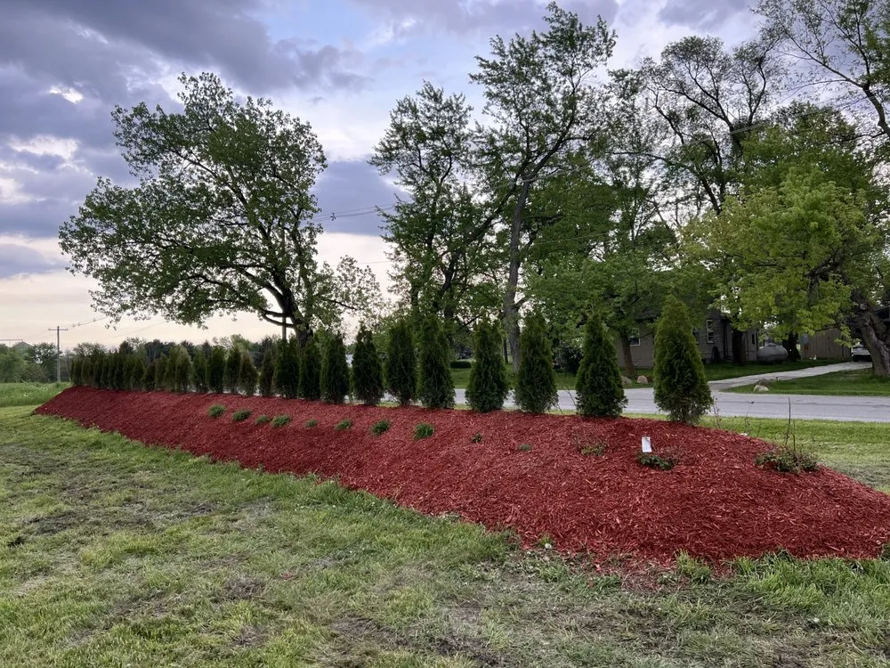 Top-rated yard cleanup service in Calumet City, IL - RS Landscaping