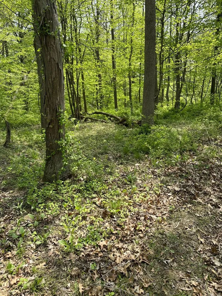 Professional lawn care service in Germantown, NY - RS Landscaping