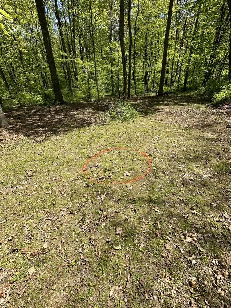 Custom yard cleanup service for homes across Germantown, NY - RS Landscaping