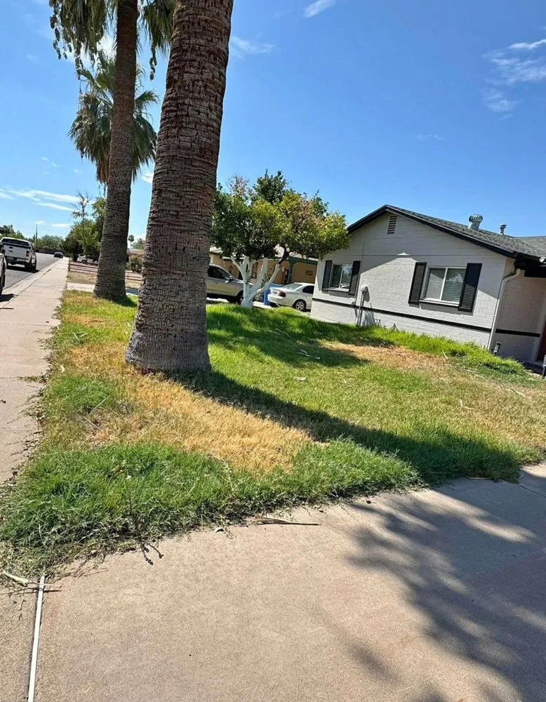 Reliable yard cleanup service for outdoor upgrades in Peoria, AZ by RS Landscaping