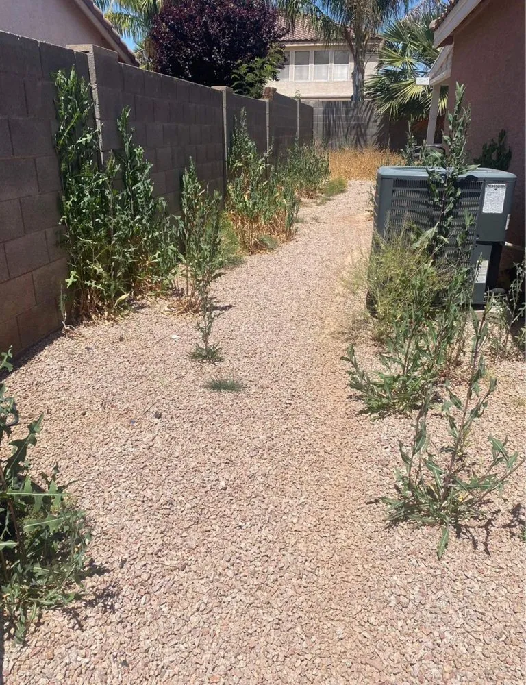 Reliable garden landscaping for outdoor upgrades in Peoria, AZ by RS Landscaping