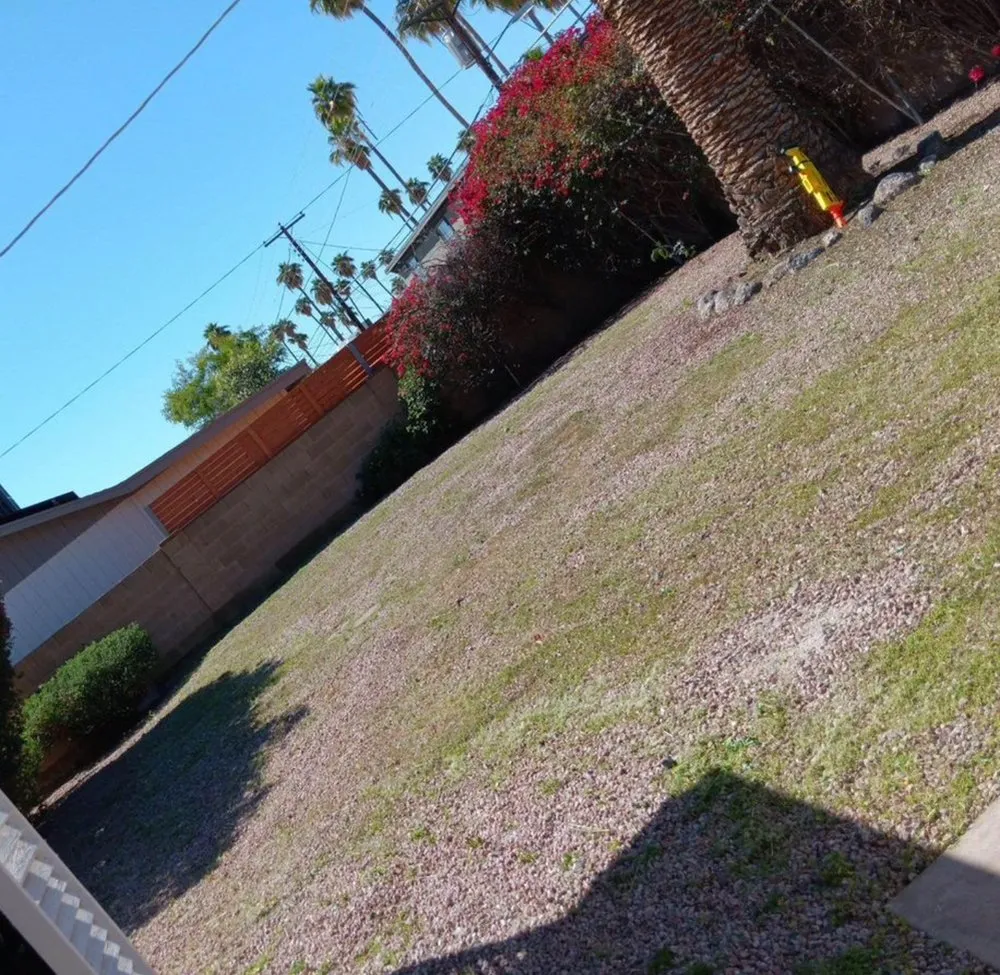 Reliable yard maintenance experts serving Peoria, AZ - RS Landscaping