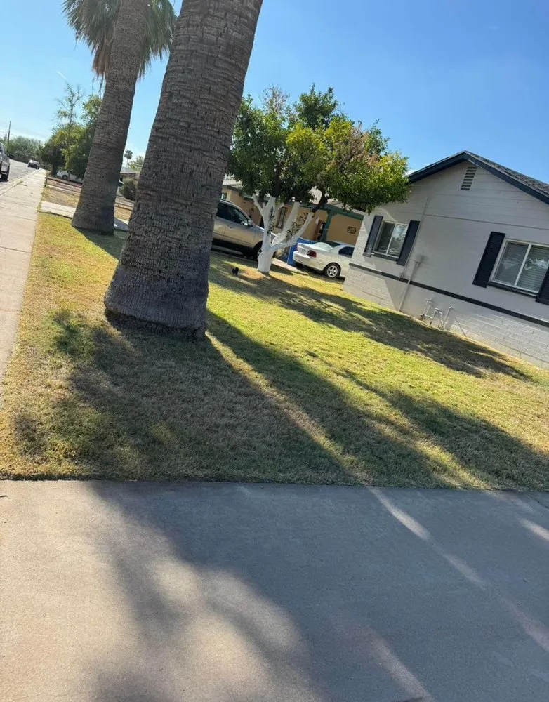 Trusted landscape installation in Peoria, AZ by RS Landscaping