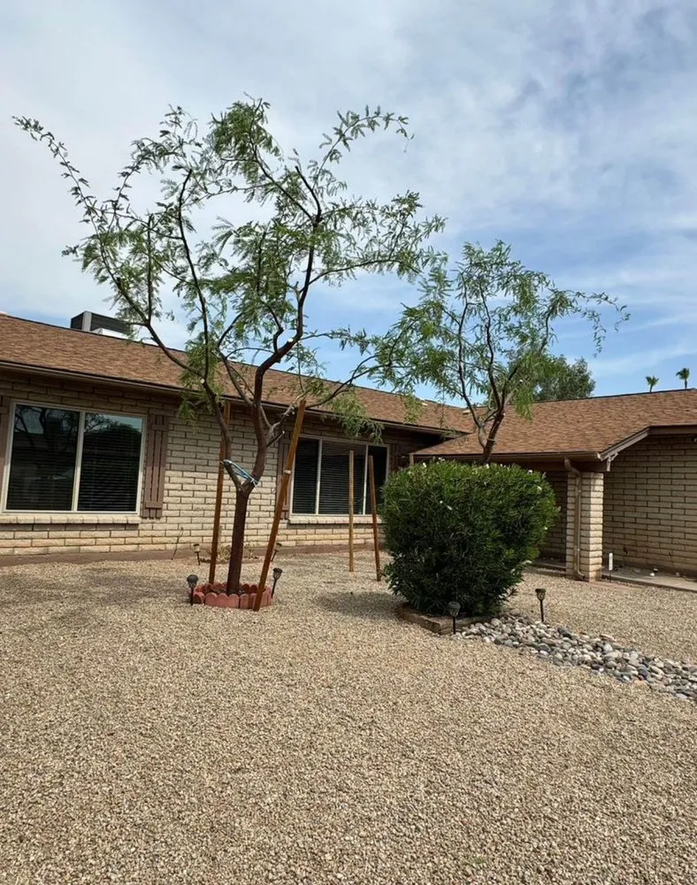 Expert lawn mowing service in Peoria, AZ - RS Landscaping