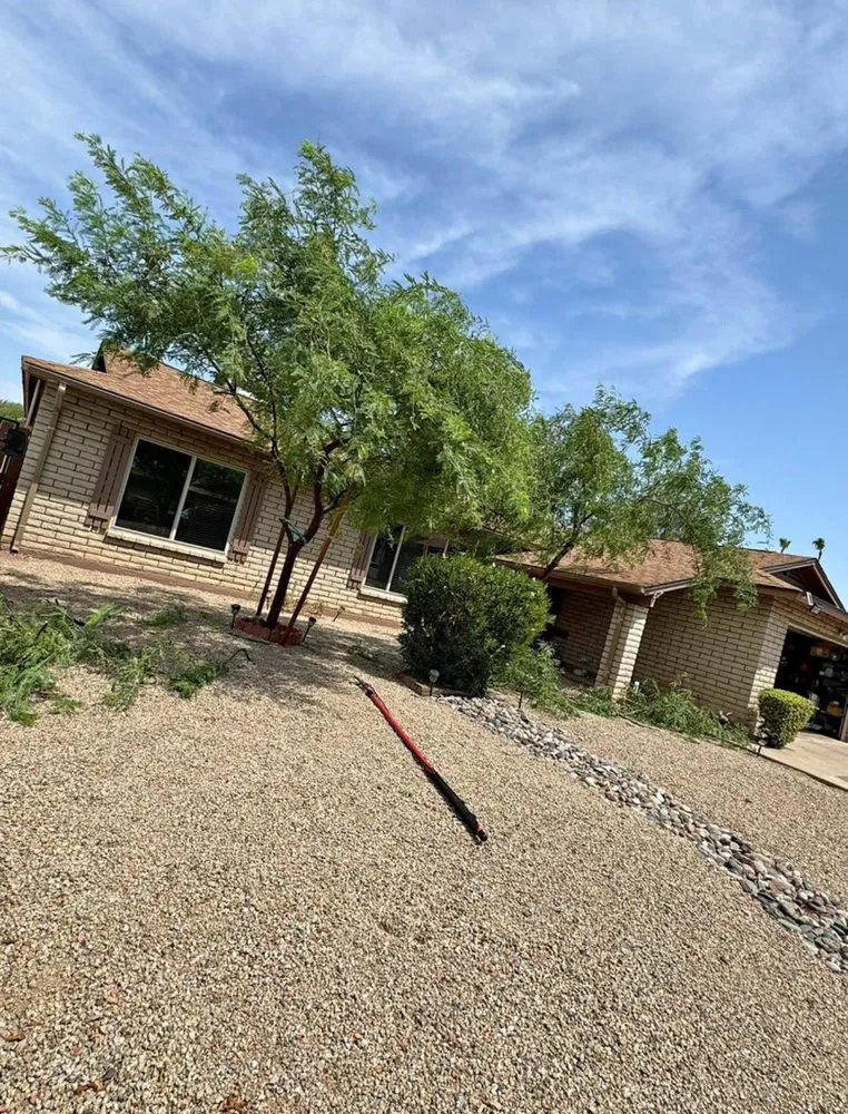 Custom yard cleanup service experts serving Peoria, AZ - RS Landscaping