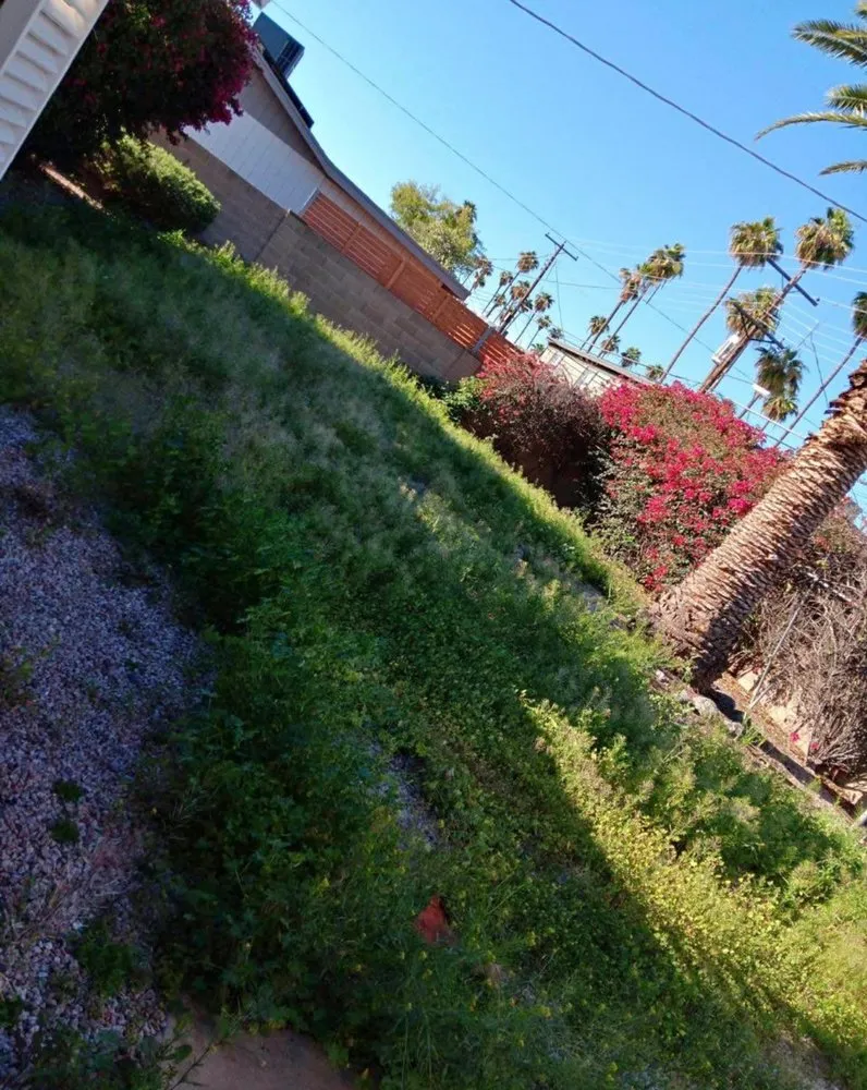 Affordable yard cleanup service experts serving Peoria, AZ - RS Landscaping