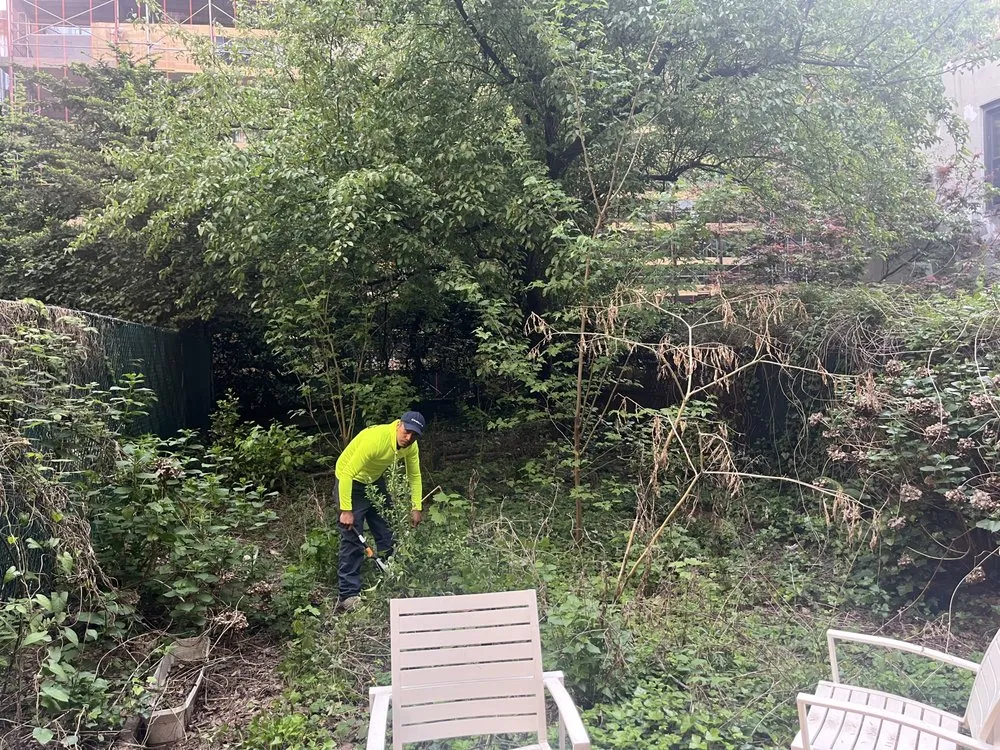 Trusted landscape design in New York, NY - R&S Landscaping Services