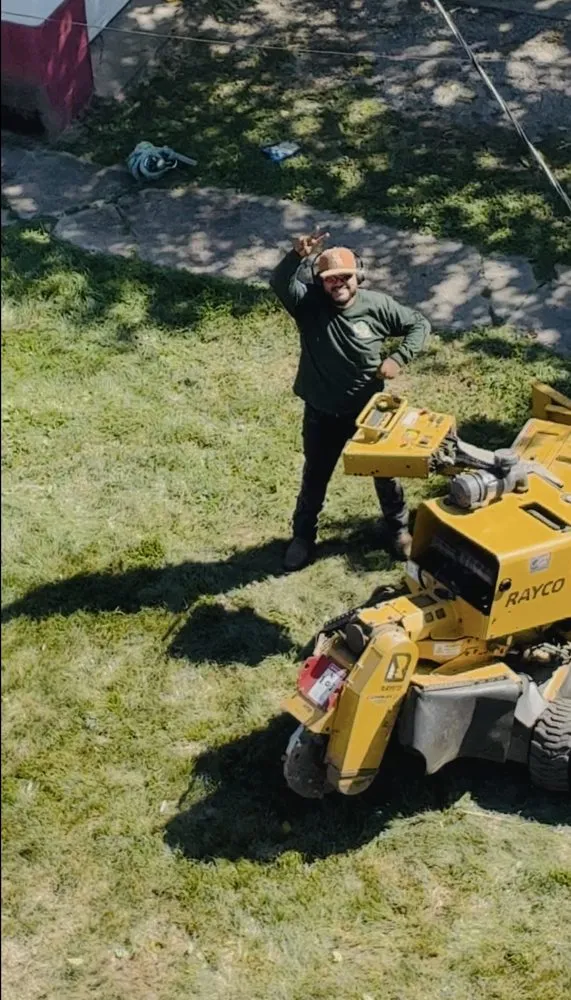 Top-rated garden landscaping for year-round maintenance in Indianapolis, IN by Rs Lawn and Tree Service