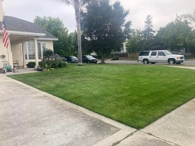 Custom yard cleanup service for outdoor upgrades across Taylor, AL - R&S Lawn Care & Pressure Washing