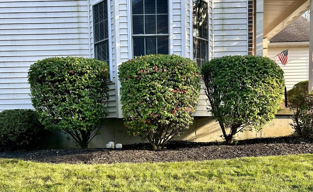 Professional landscape installation with custom design across Lebanon, PA - RS Lawn Care