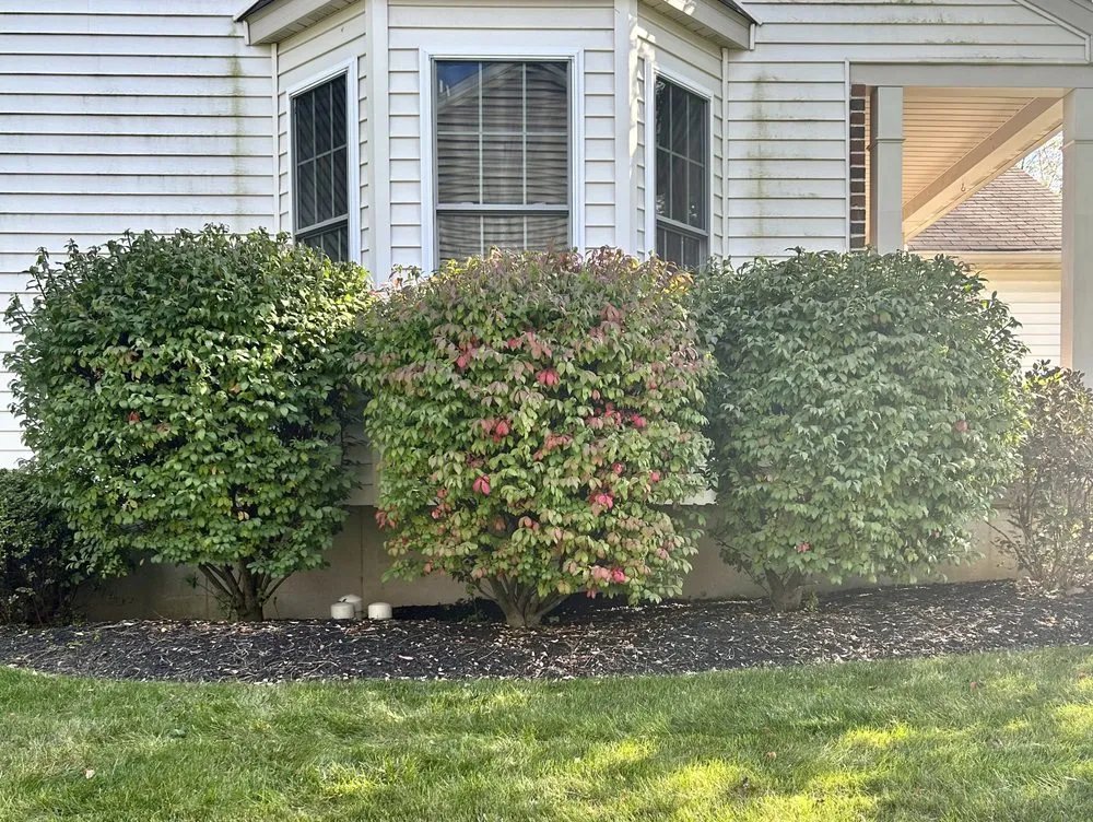 Expert landscape installation in Lebanon, PA - RS Lawn Care