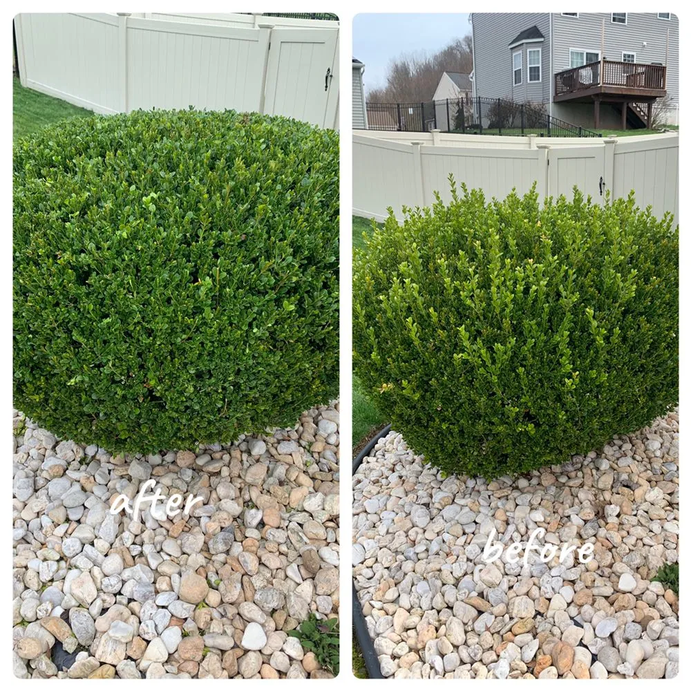 Professional residential landscaping experts serving Lebanon, PA - RS Lawn Care