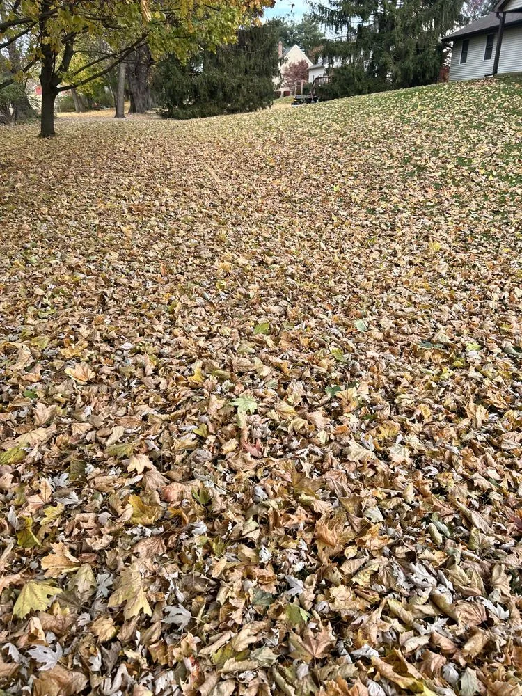 Local yard maintenance with custom design in Lebanon, PA by RS Lawn Care