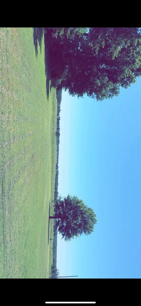 Affordable yard cleanup service near you across Southwest City, MO - R&S Lawn Care Solutions