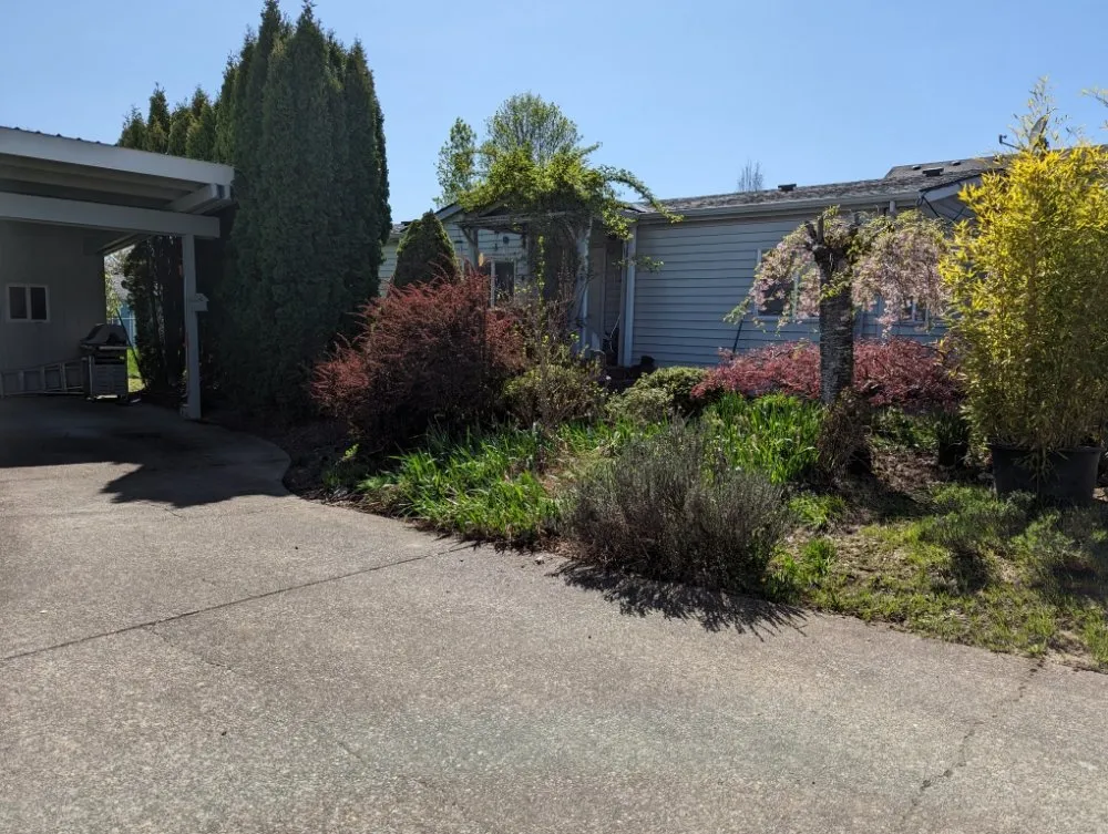 Trusted residential landscaping for residential properties across Monmouth, OR - R&S Lawn Mowing & Maintenance