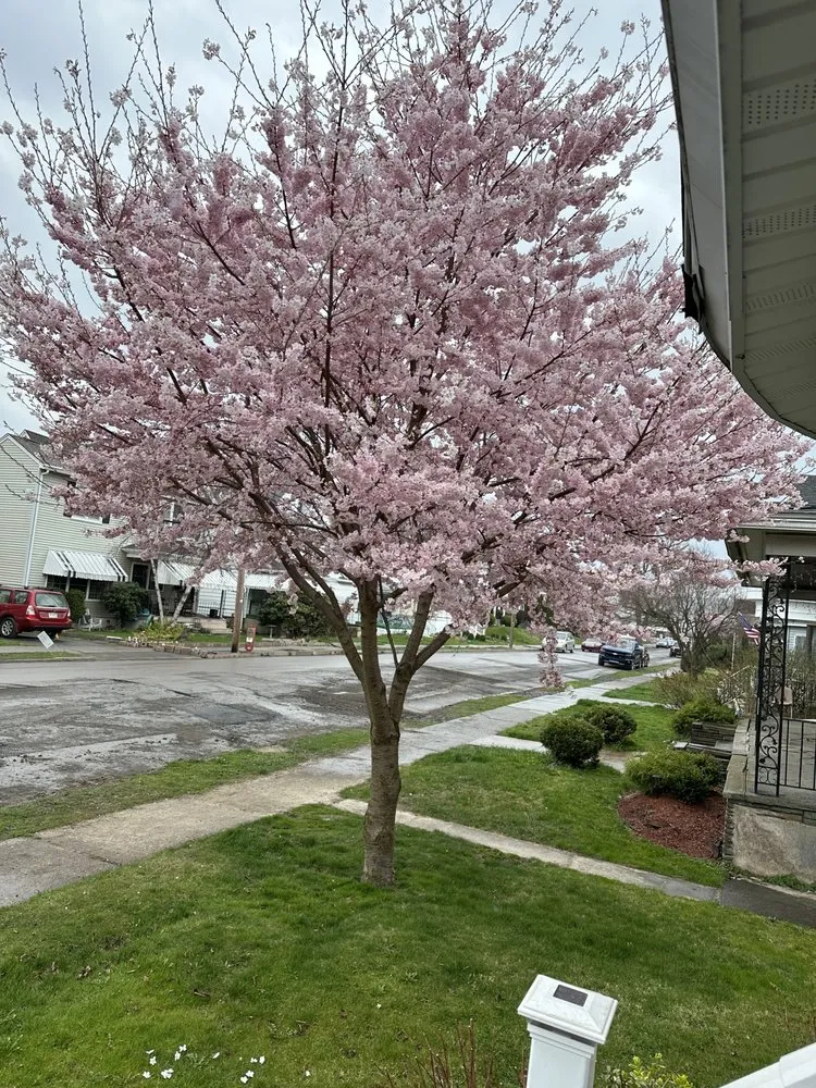 Trusted lawn mowing service with custom design in Scranton, PA by R&S Lawn Services