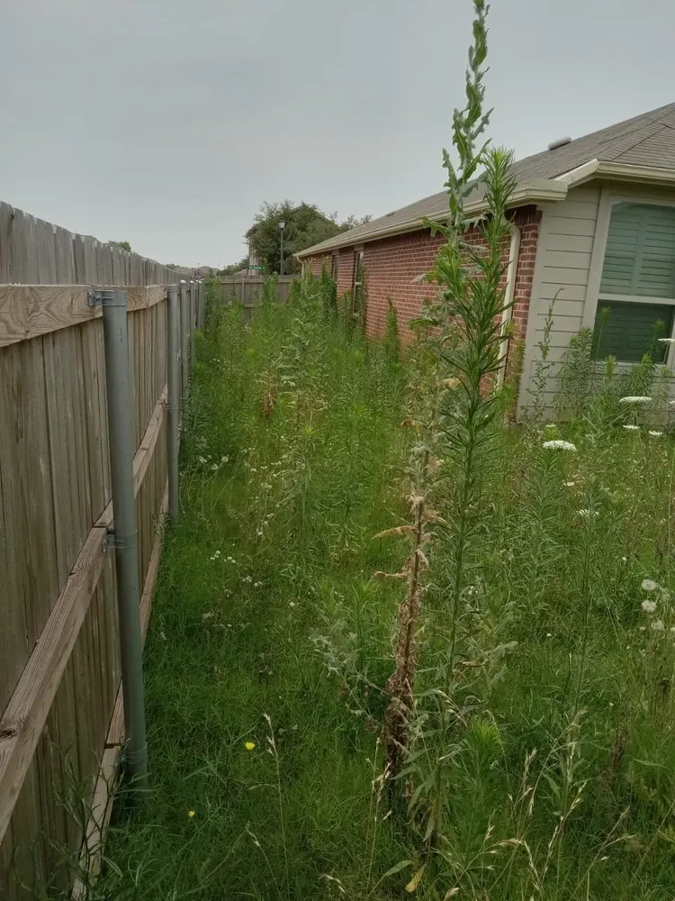 Local garden landscaping for homes in Forney, TX by RS Lawn Services TX