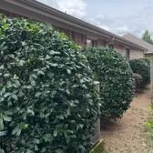 Local landscape installation experts serving Forney, TX - RS Lawn Services TX