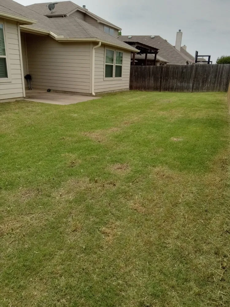 Professional landscape design in Forney, TX - RS Lawn Services TX