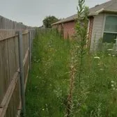 Expert outdoor landscaping experts serving Forney, TX - RS Lawn Services TX