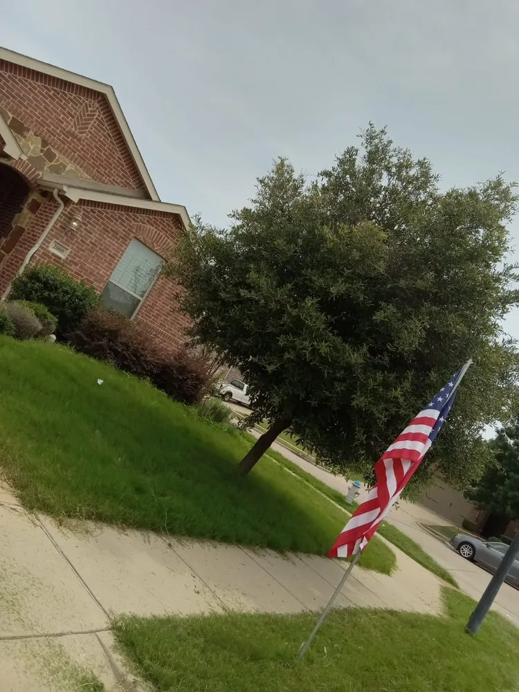 Trusted yard cleanup service in Forney, TX by RS Lawn Services TX