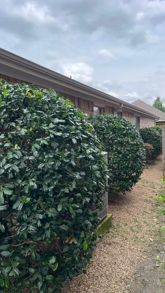 Top-rated lawn mowing service experts serving Forney, TX - RS Lawn Services TX