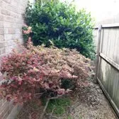 Expert lawn mowing service for year-round maintenance across Forney, TX - RS Lawn Services TX