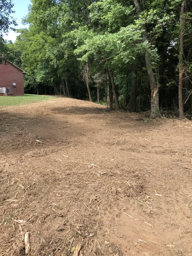 Professional lawn mowing service in Fayetteville, TN - R&S Logging