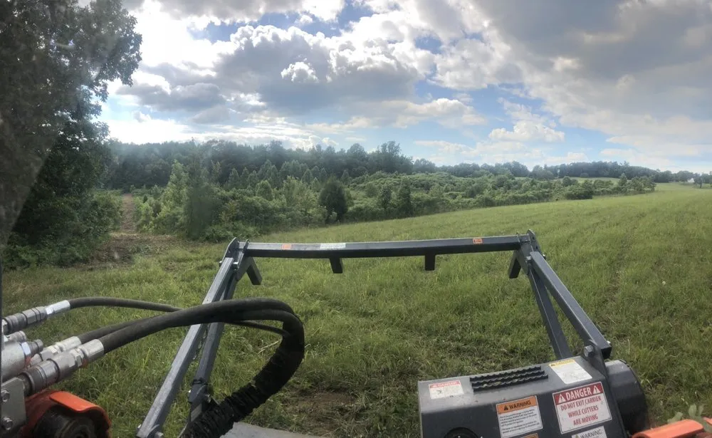 Professional yard maintenance for outdoor upgrades across Fayetteville, TN - R&S Logging