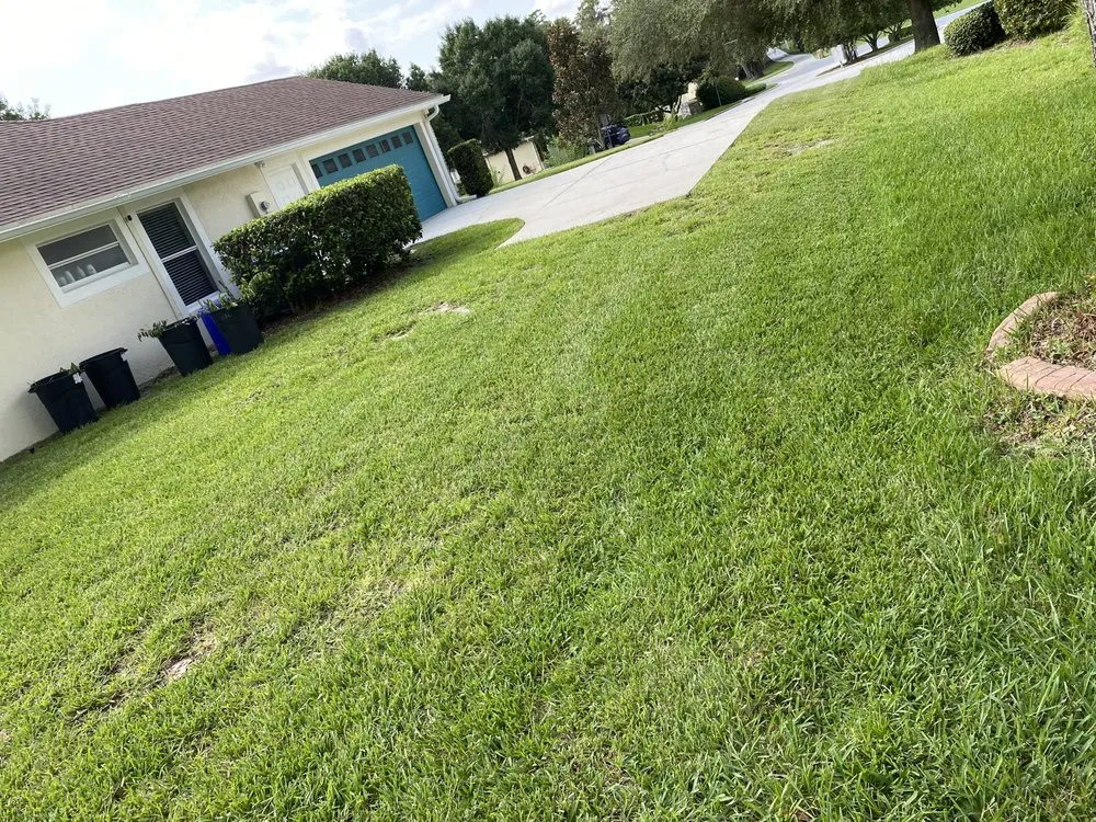 Expert landscape installation for beautiful yards across Groveland, FL - R&S Property Services