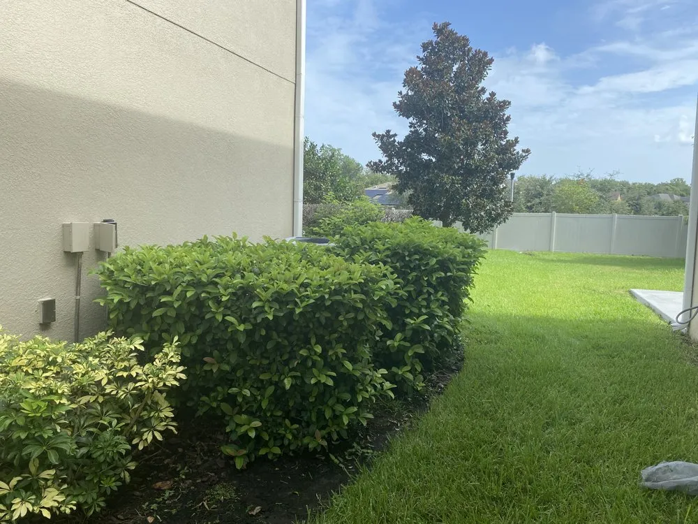 Local lawn care service in Groveland, FL - R&S Property Services