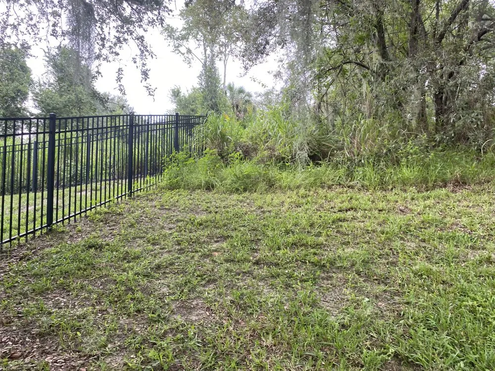 Expert outdoor landscaping in Groveland, FL by R&S Property Services