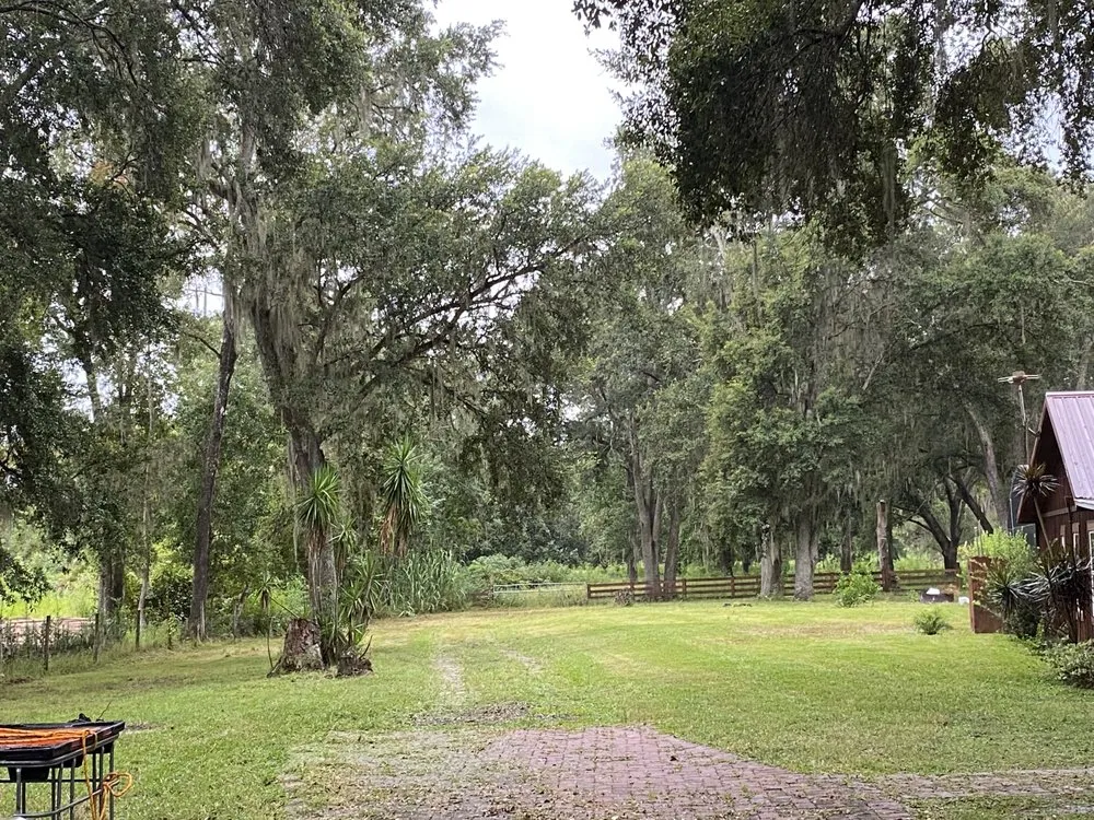 Custom landscape installation experts serving Groveland, FL - R&S Property Services