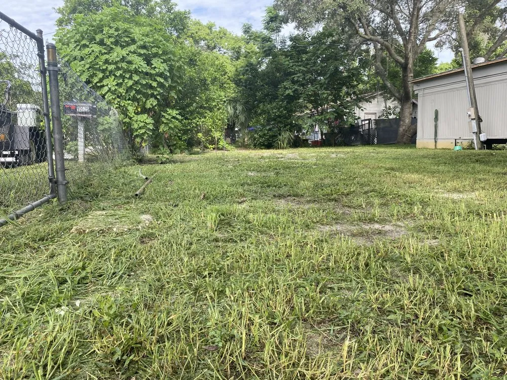 Affordable residential landscaping experts serving Groveland, FL - R&S Property Services