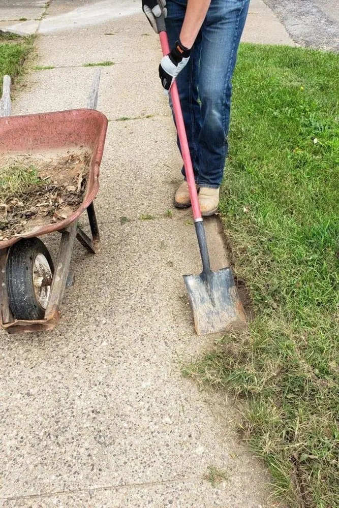 Custom lawn care service in Denver, CO - Rs Service Maintenance and Transportation