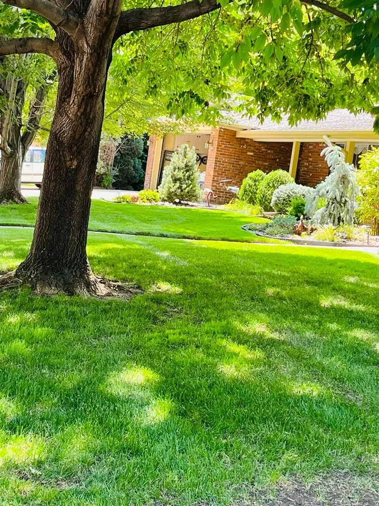 Custom yard maintenance for outdoor upgrades in Denver, CO by Rs Service Maintenance and Transportation