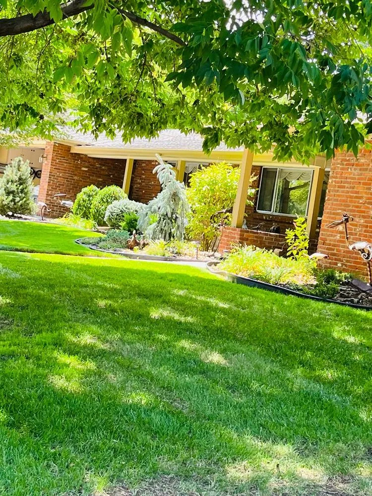 Trusted yard cleanup service experts serving Denver, CO - Rs Service Maintenance and Transportation