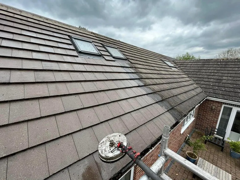 Affordable residential landscaping for beautiful yards in Denver, CO by Rs Service Maintenance and Transportation