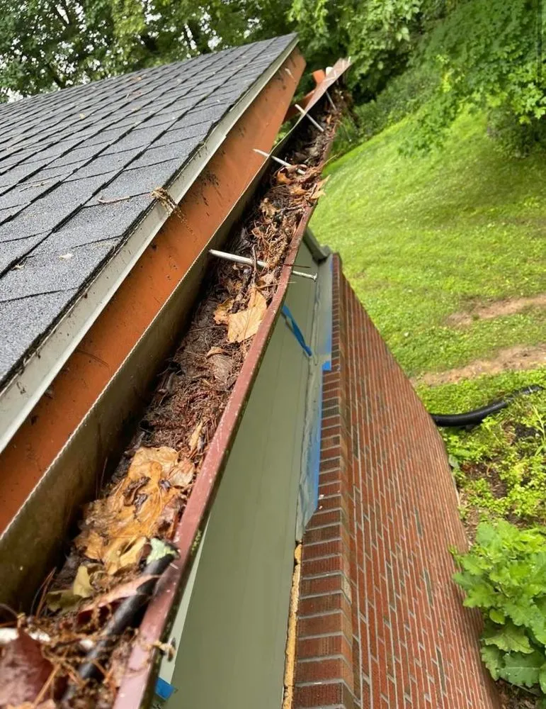 Top-rated landscape design in Denver, CO - Rs Service Maintenance and Transportation