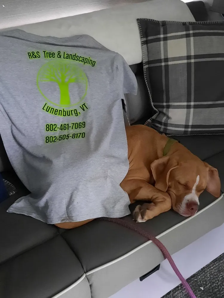 Expert landscape design in Lunenburg, VT - R&S Tree & Landscaping