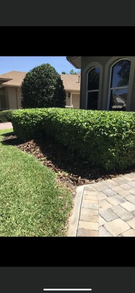 Expert outdoor landscaping with custom design in De Leon Springs, FL by RSA Landscaping and Irrigation services