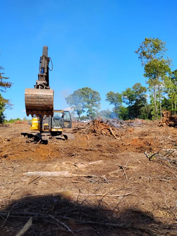 Professional outdoor landscaping in Rocky Mount, NC by RSB Groundworks