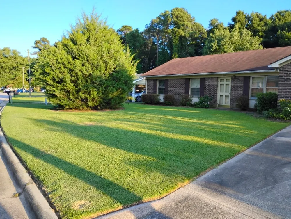 Affordable residential landscaping experts serving Rocky Mount, NC - RSB Groundworks